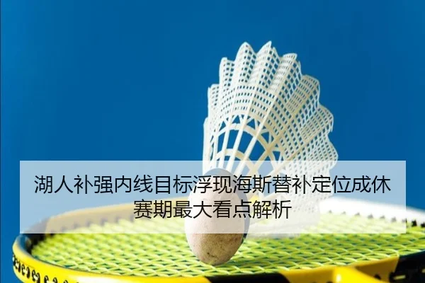 湖人补强内线目标浮现海斯替补定位成休赛期最大看点解析